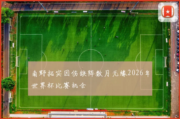 南野拓实因伤缺阵数月无缘2026年世界杯比赛机会