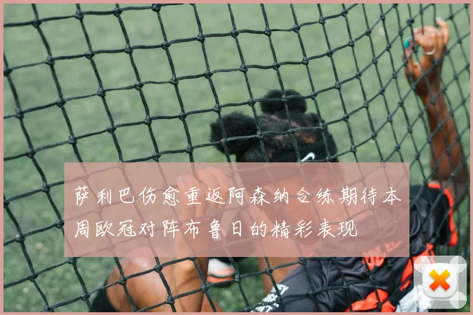 萨利巴伤愈重返阿森纳合练期待本周欧冠对阵布鲁日的精彩表现