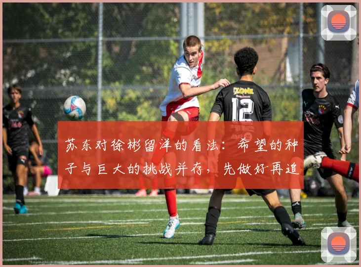 苏东对徐彬留洋的看法：希望的种子与巨大的挑战并存，先做好再追求完美
