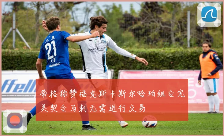 蒂格称赞福克斯卡斯尔哈珀组合完美契合马刺无需进行交易