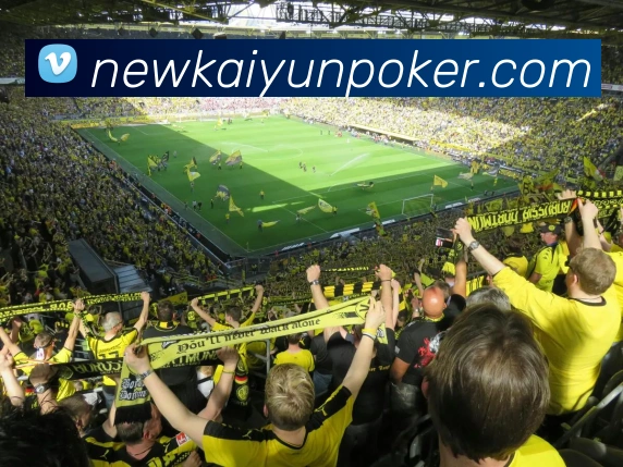 开云棋牌官网APP 高清赛事图